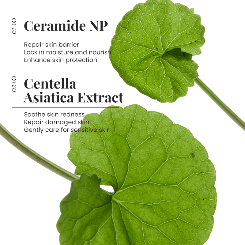 Ceramide Face Cream Skin Barri - đánh giá và giá Ceramide Moisturizer